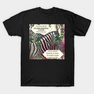 Neuroendocrine Cancer Support and Awareness Journey T-Shirt